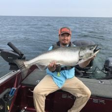 David Maynard profile photo