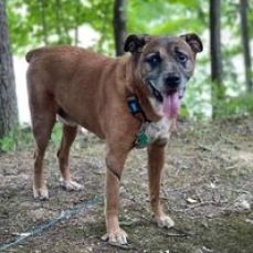 Cutting Edge Charters