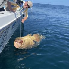 Chugach Backcountry Fishing