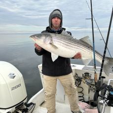 Michael Johns profile photo