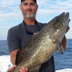 Brad Segree profile photo