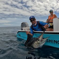 Rocha Isai profile photo