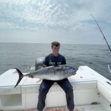 Andrew Popovich profile photo