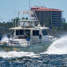 Captain Black's Fishing profile photo