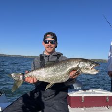 Michael Shaw profile photo