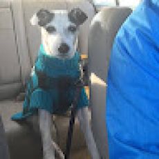 Buenos Aires Delta Aventura