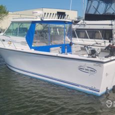 Jacob Kipp profile photo