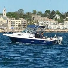 Mark  Cassidy profile photo