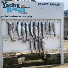 CoHooker Charters