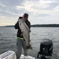 Jody Blain profile photo