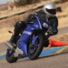 Breaking Nets Fishing Adventures Cedar Key