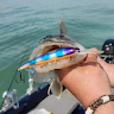  Aaron Savage profile photo