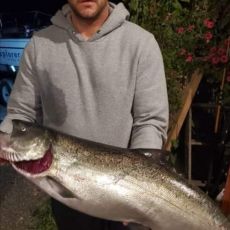 Gerald Arkell profile photo