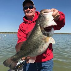 David Ozio profile photo