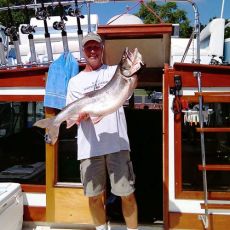 Jim Matias profile photo