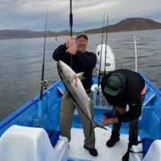 Built For Speed Salmon Fishing Charters