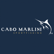 Cabo Marlini Sportfishing  profile photo