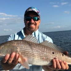 David Maki profile photo