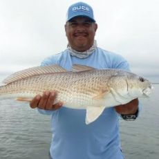 Ruben Riojas profile photo