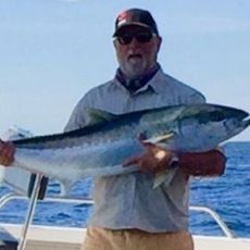 Sydney Harbour Fishing Tours profile photo