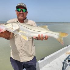 Austin Camacho profile photo