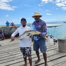 Mauri More profile photo