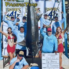 Paulo Torres profile photo