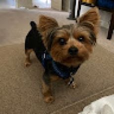 Marsh Outfitters LLC