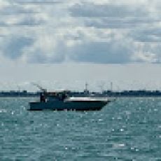 Reel Therapy Sportfishing LLC profile photo