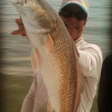 Tom Charlton profile photo