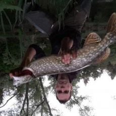 Bass Catch In Santa Clara