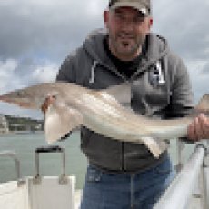 William White profile photo