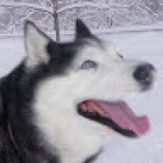 Captain Hook Outdoors