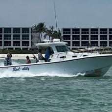 Reel-ality Sportfishing profile photo