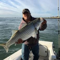 Dennis Caracciolo profile photo