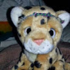 Get Out & About Whitsundays Fishing & Tours