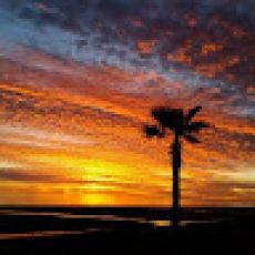 Destination Alaska Adventure Co. – Endeavor