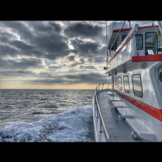 Trade Winds Charter Fishing profile photo