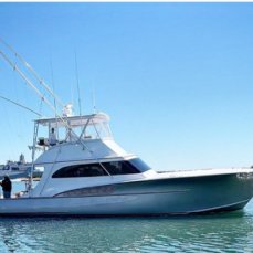 Kraken Sportfishing profile photo
