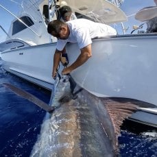 Kaiwi Joe profile photo