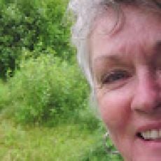 Reel’n Tails Charters