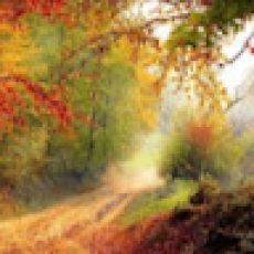 Christopher McDowell