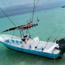 The Boat Sport Fishing profile photo