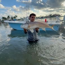 Logan Grengs profile photo