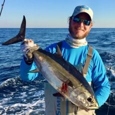 A Live One profile photo