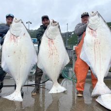 Freedom Tours – Trolling Passion