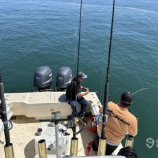 James Harlan profile photo