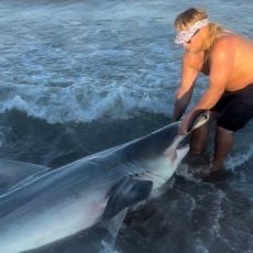 Brandon Slaughter profile photo