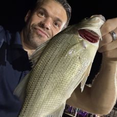 William Guy profile photo