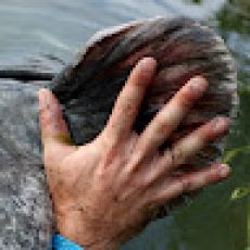 Madeira Sight Casting